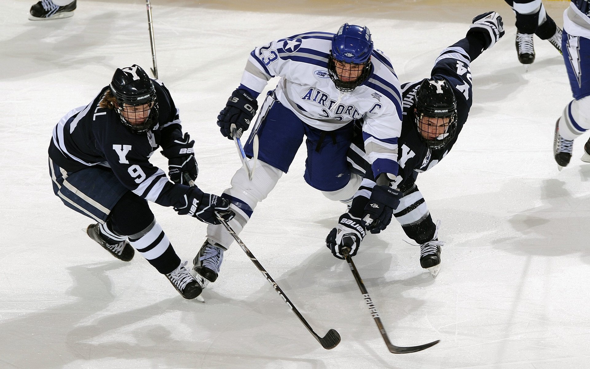 澳大利亚袋鼠队的后卫线防守,为团队带来坚实屏障,袋鼠袭击澳大利亚
