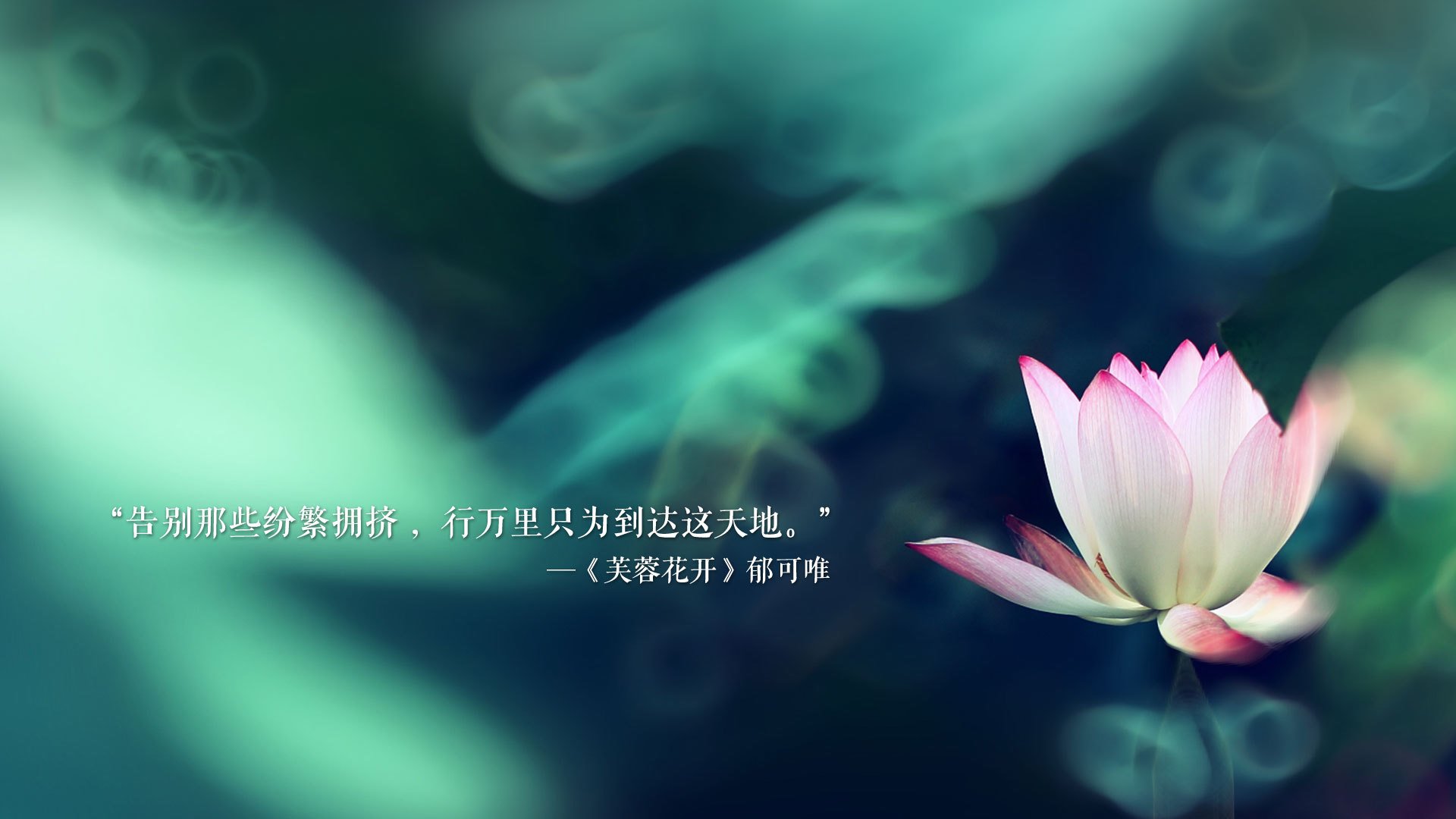 九游娱乐APP-国际奥委会致谢瑞士：为雪地足球树立新典范，奥运会瑞士代表团