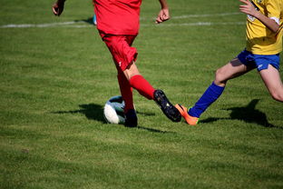 九游娱乐网站体验棒-中小学篮球教研活动不断创新教学方法提升训练效果，篮球教研活动总结